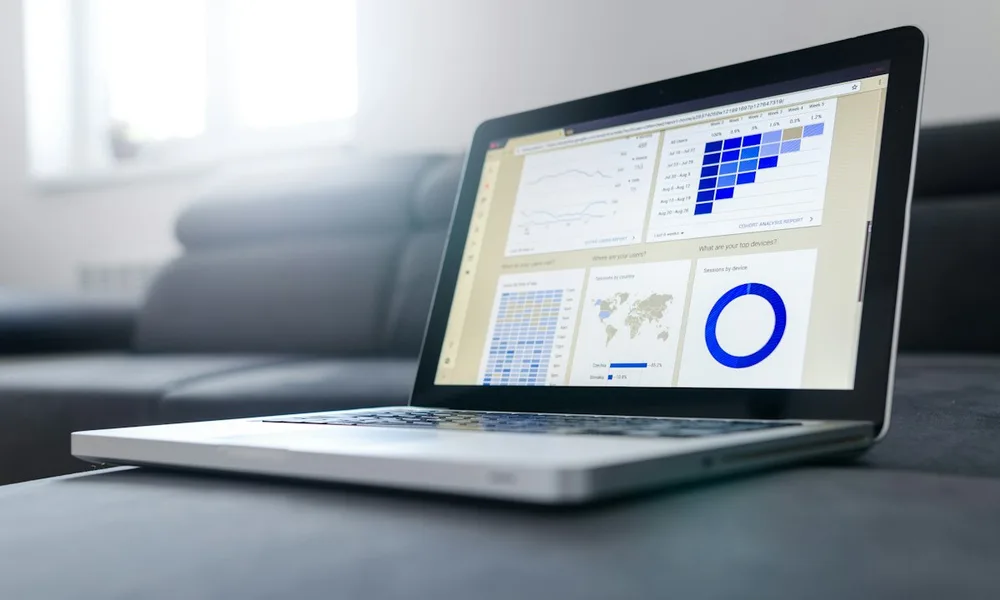 Search engine optimization audit showing backlink profile and anchor text breakdown